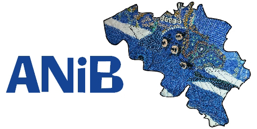 ANiBbluelogoRightBlue525.jpg